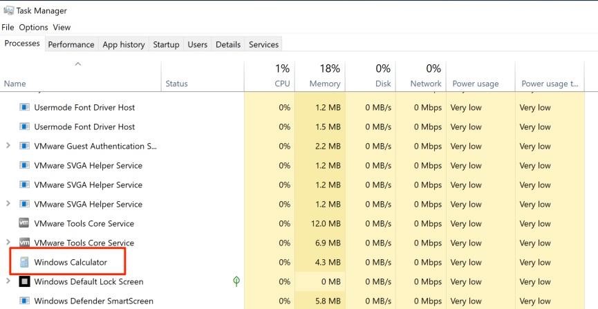 task manager screenshot by White Oak Security showing it being executed